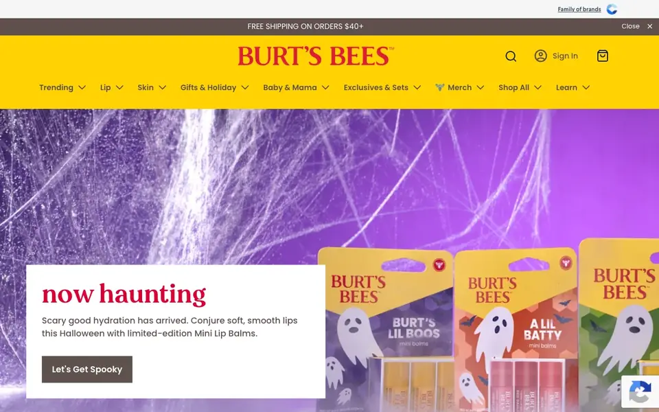 Burt’s Bees Natural Acne Solutions Targeted Spot Treatment – 7.68ml website homepage, 4 Oct 2026